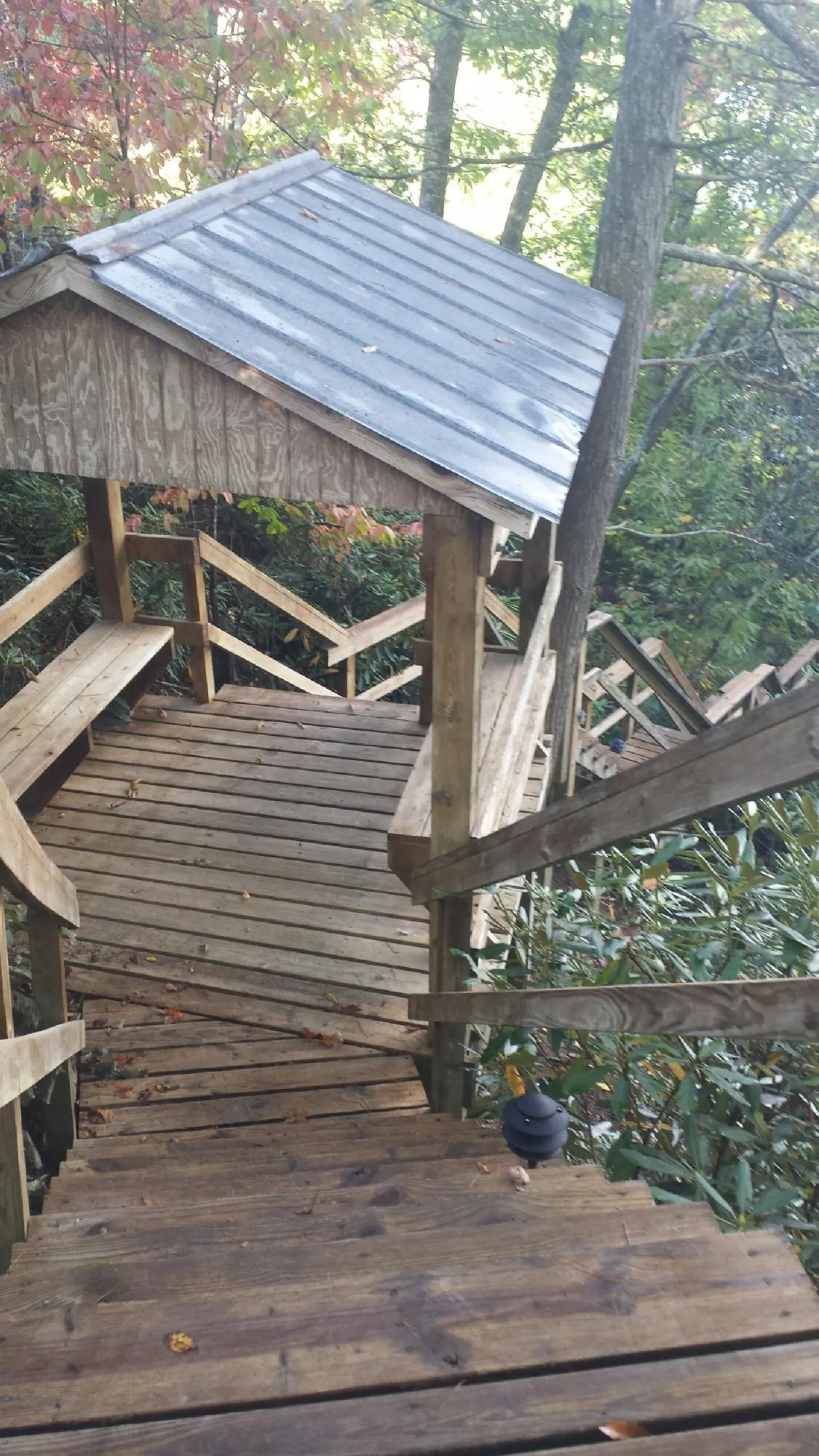 Metal roofed shelter over wooden steps on a wooded walkway — Skylight Repair & Installation work by our crew in Daisetta